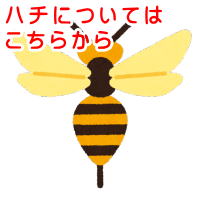 �n�`�i�A�V�i�K�o�`�j�ɂ��Ă͂����炩��