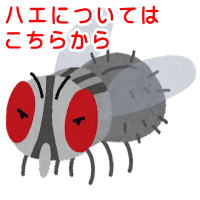 �n�G�ɂ��Ă͂����炩��