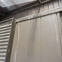 �n�g�΍�̗l�q