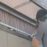 �n�g�΍�̗l�q�@�����܁E���R�ݒu