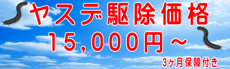 ���X�f�쏜���i30,000�~�`6�����ۏ�t��