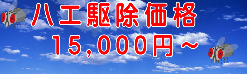 �n�G�쏜���i15,000�~�`