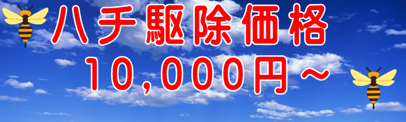 �n�`�쏜���i10,000�~�`