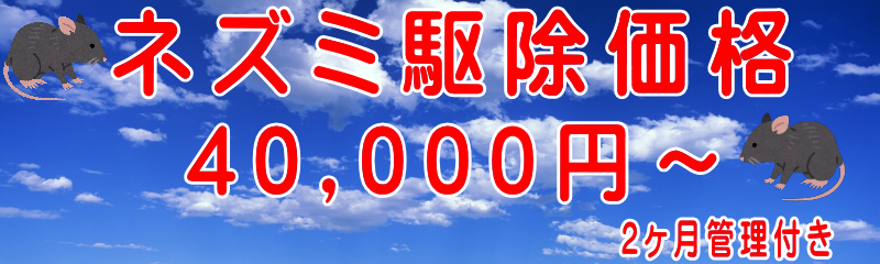 �l�Y�~�쏜���i40,000�~�`2�����ۏ�t��