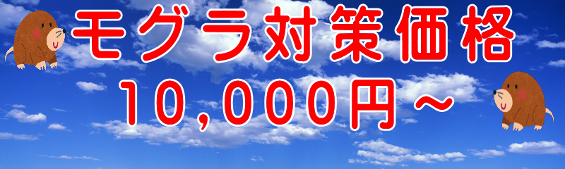 �l�Y�~�쏜���i40,000�~�`2�����ۏ�t��