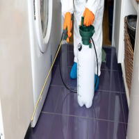 �S�L�u���쏜�̗l�q