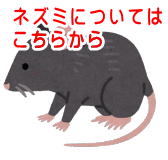 �l�Y�~�ɂ��Ă͂����炩��