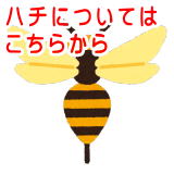 �n�`�i�A�V�i�K�o�`�j�ɂ��Ă͂����炩��