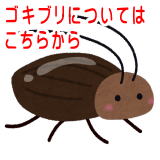 �S�L�u���ɂ��Ă͂����炩��