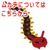 ���J�f�ɂ��Ă͂����炩��