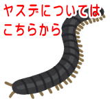 ���X�f�ɂ��Ă͂����炩��