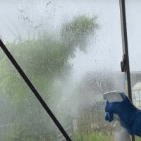 ハエ駆除の様子