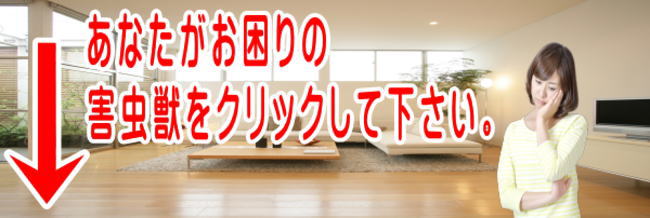 ���Ȃ���������̊Q���b���N���b�N���ĉ������B